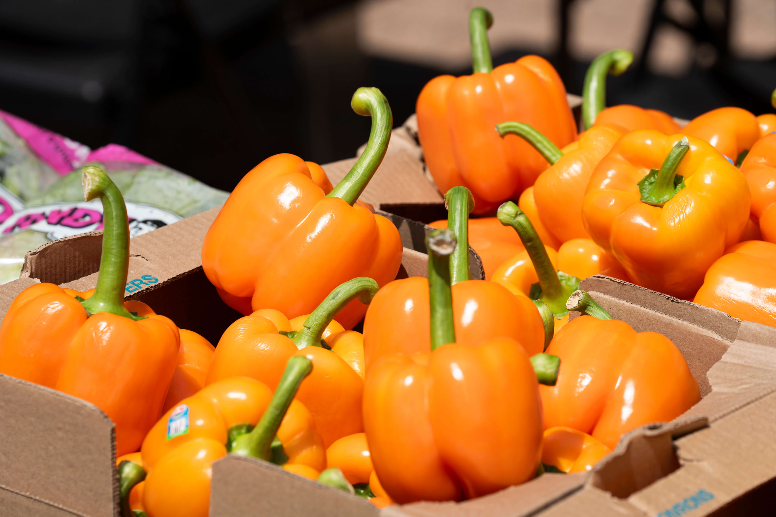 Donate surplus food from your business through Sharing Excess.
