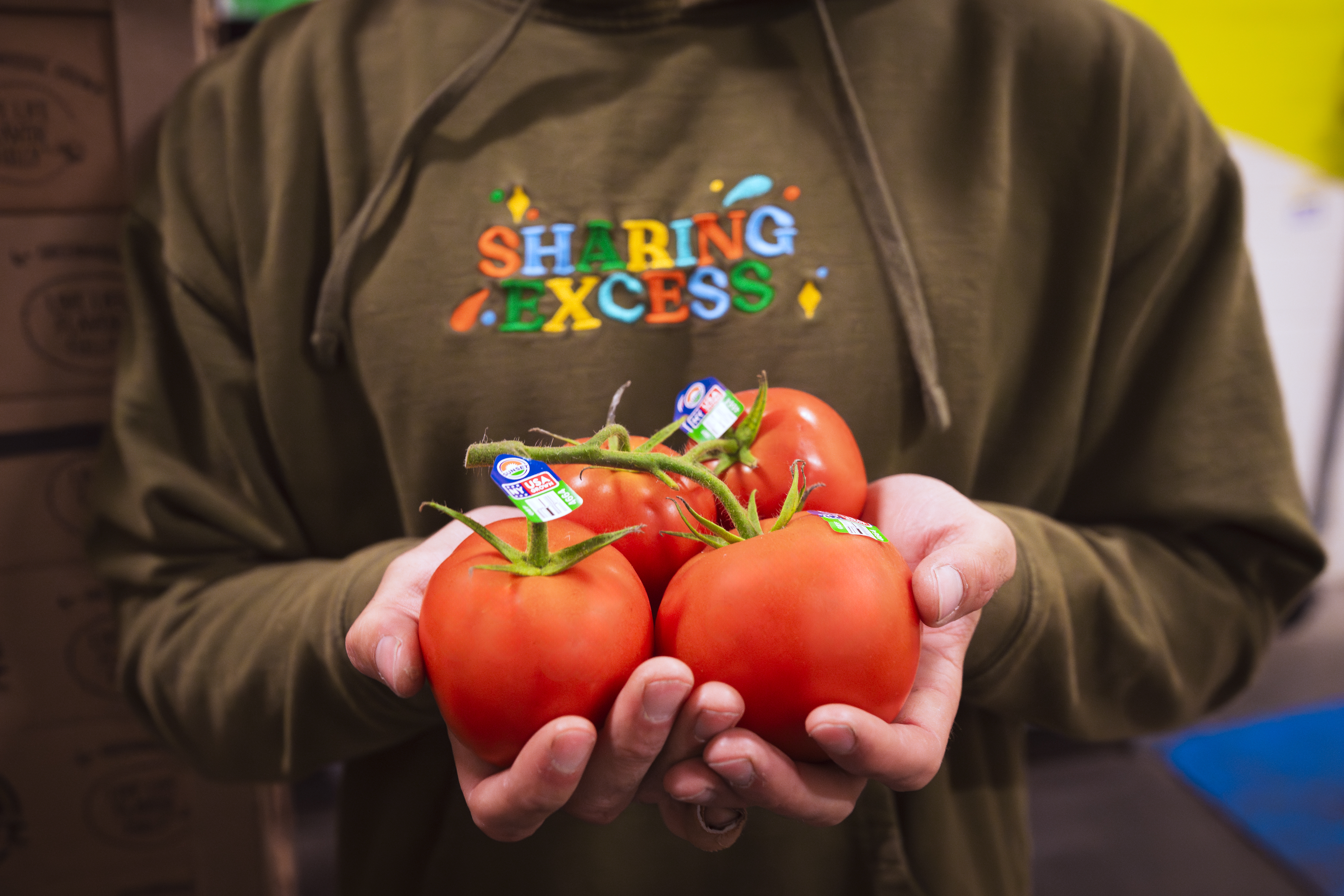 Sharing Excess volunteer in a hoodie holding fresh tomatoes on the vine