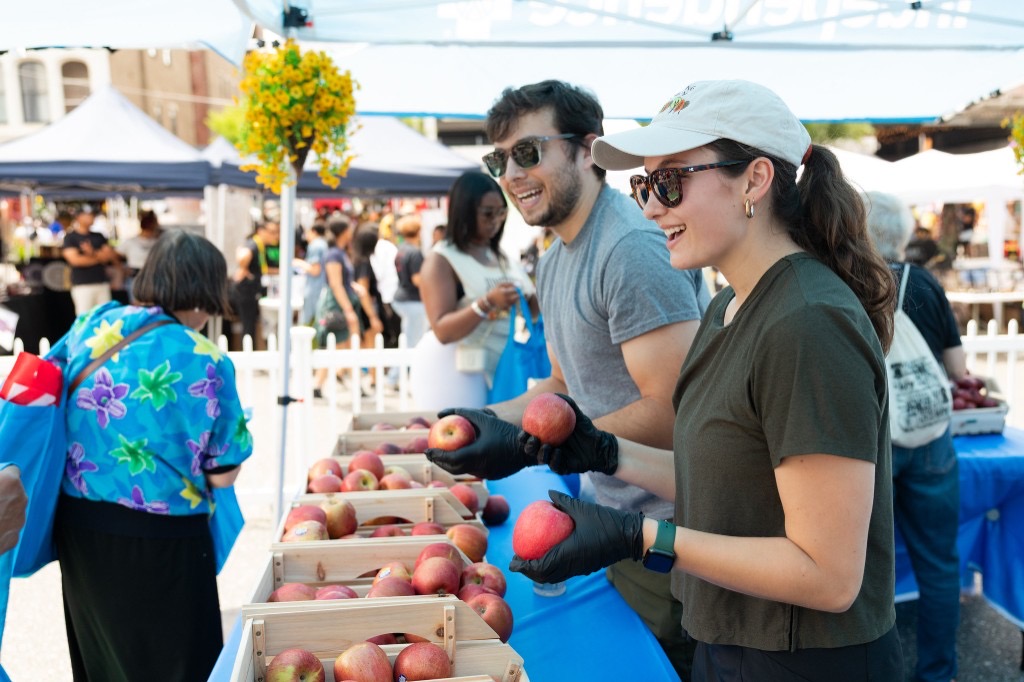 Volunteers sorting fresh apples at a community food distribution event